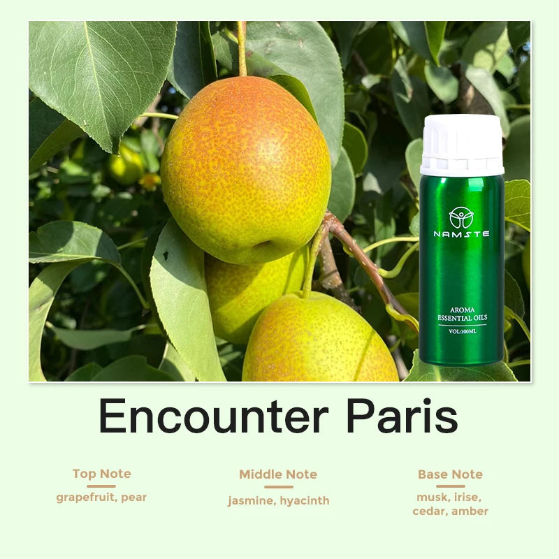 Aroma Diffuser Perfume Fragrance Oil Pure Scented Air Freshener for Scent Diffusers Namste 100ML Essential Oil Diffuser Natural Wentersen