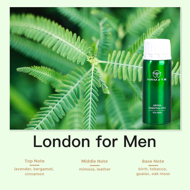 Aroma Diffuser Perfume Fragrance Oil Pure Scented Air Freshener for Scent Diffusers Namste 100ML Essential Oil Diffuser Natural Wentersen