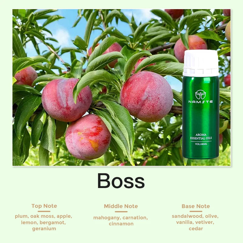 Aroma Diffuser Perfume Fragrance Oil Pure Scented Air Freshener for Scent Diffusers Namste 100ML Essential Oil Diffuser Natural Wentersen