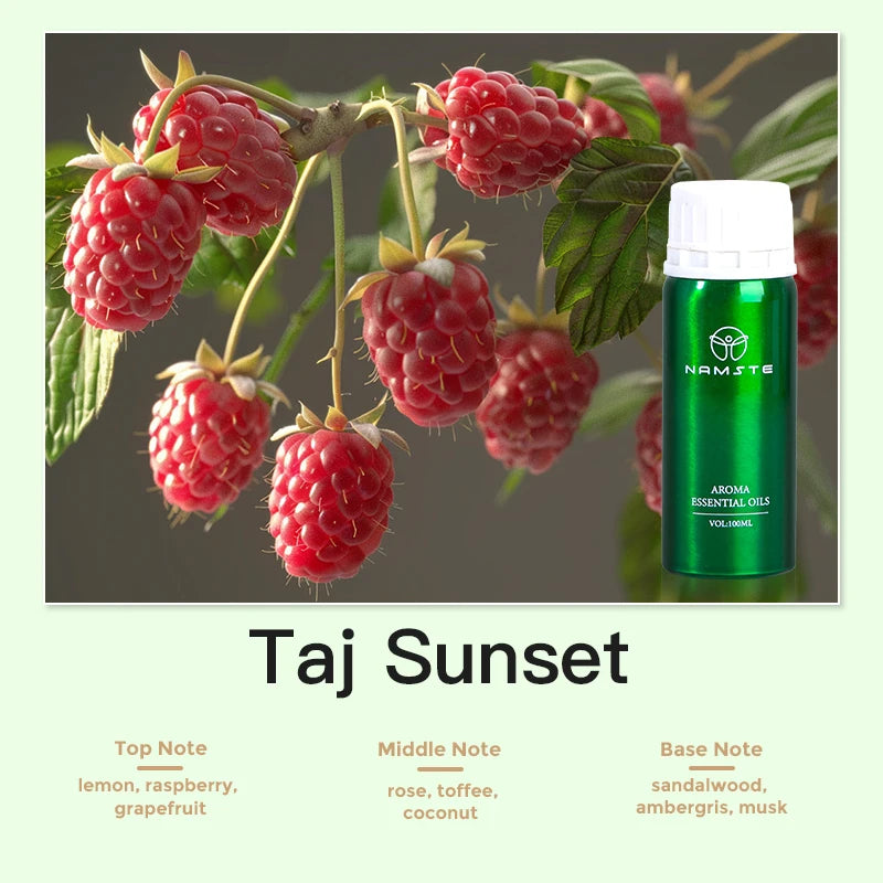 Aroma Diffuser Perfume Fragrance Oil Pure Scented Air Freshener for Scent Diffusers Namste 100ML Essential Oil Diffuser Natural Wentersen