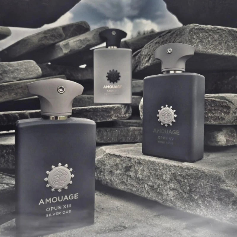 AMOUAGE 100ml Homme Parfum Wentersen