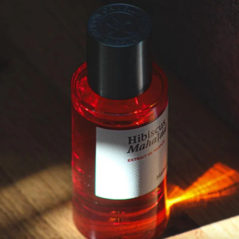Luxury Unisex Eau De Parfum 100ml Long Lasting Warm Elegant Fresh Oriental Floral Woody Scent with Three Distinctive Variations Wentersen
