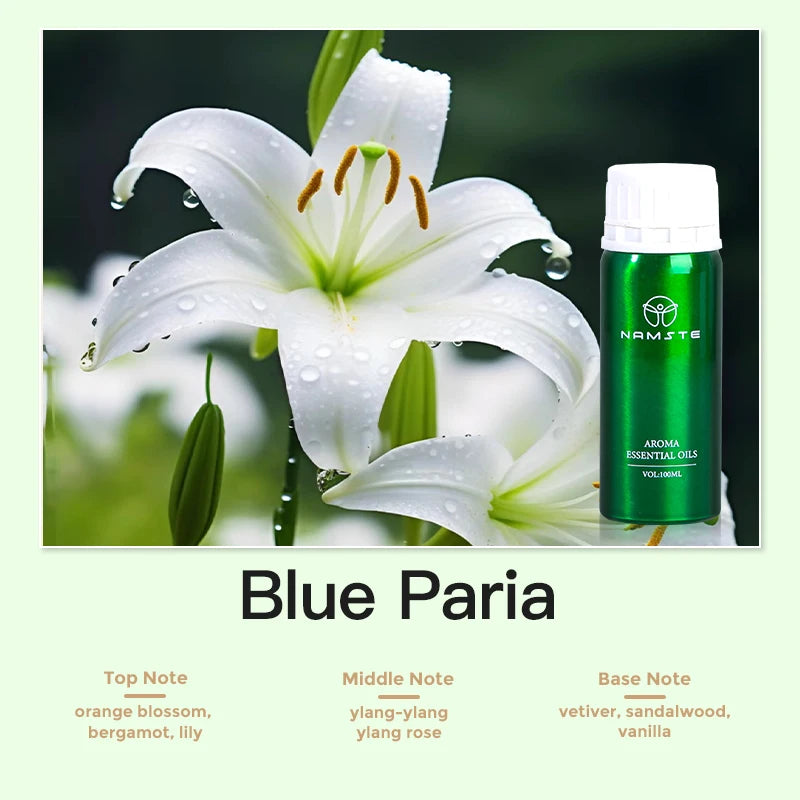 Aroma Diffuser Perfume Fragrance Oil Pure Scented Air Freshener for Scent Diffusers Namste 100ML Essential Oil Diffuser Natural Wentersen