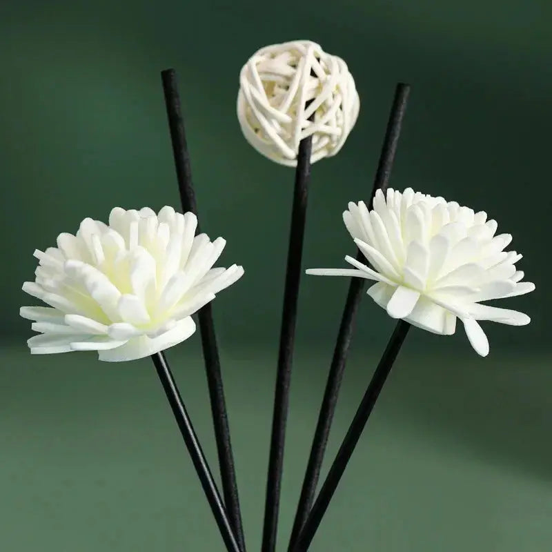 50ml Premium Aroma Diffuseur huile pour Maison Wentersen